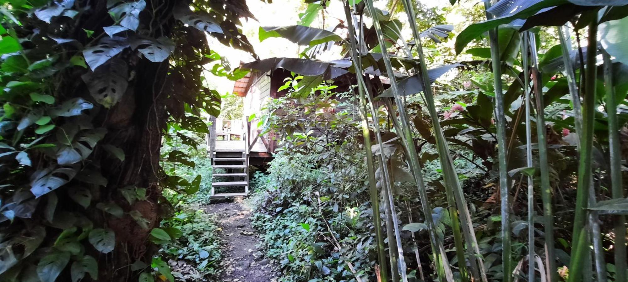 Mombacho Lodge Granada Ngoại thất bức ảnh