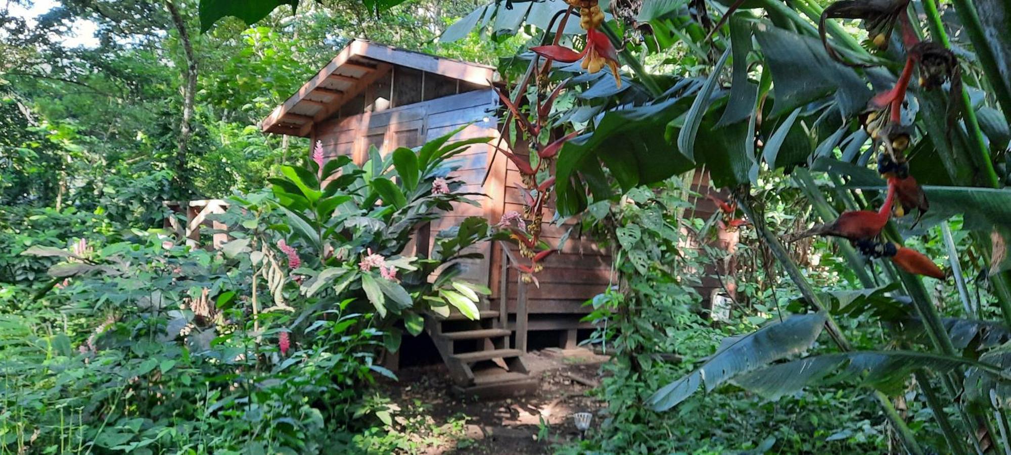 Mombacho Lodge Granada Ngoại thất bức ảnh