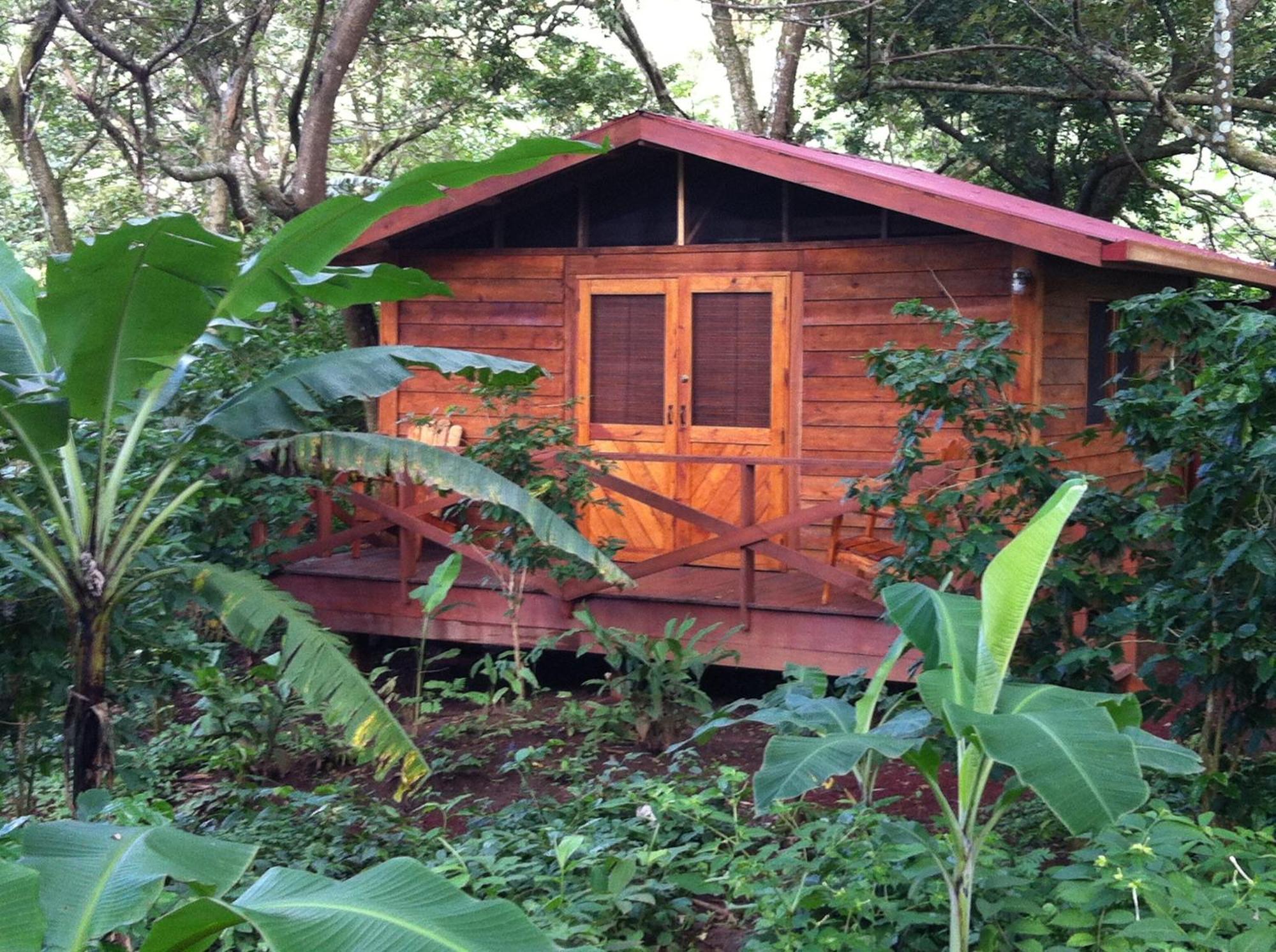 Mombacho Lodge Granada Phòng bức ảnh