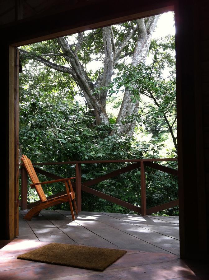 Mombacho Lodge Granada Phòng bức ảnh