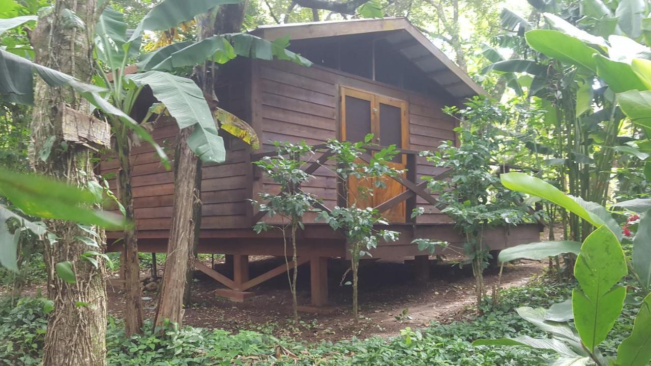 Mombacho Lodge Granada Ngoại thất bức ảnh